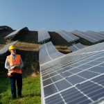 A person monitoring an industrial solar panel installation