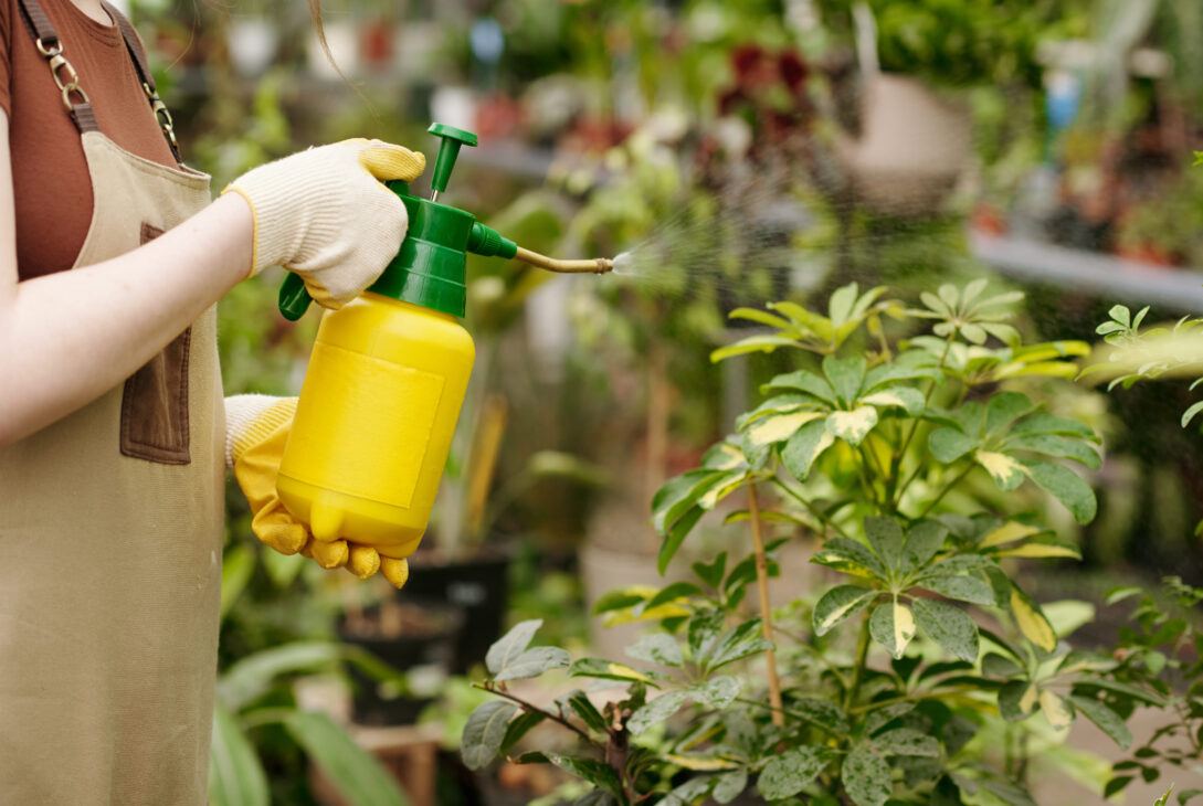 organic pesticide for plants from the best provider of organic fertilizer