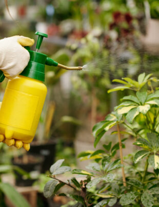 organic pesticide for plants from the best provider of organic fertilizer