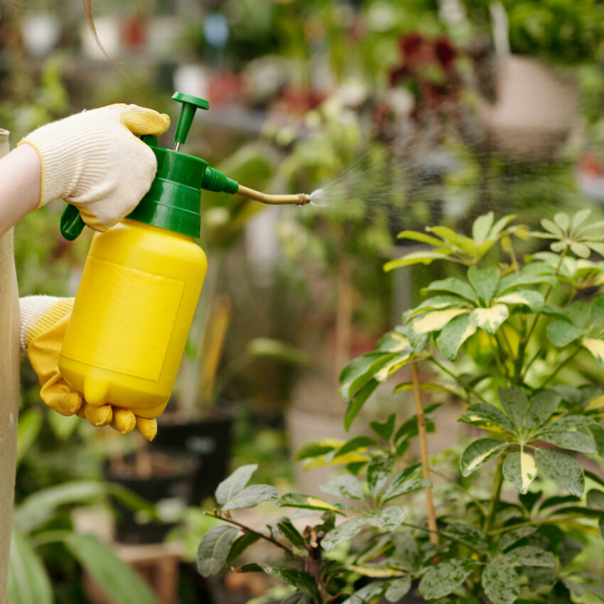 organic pesticide for plants from the best provider of organic fertilizer